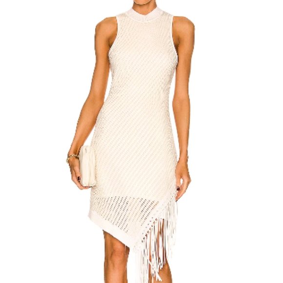 JONATHAN SIMKHAI CHELLE COMPACT POINTELLE LEATHER FRINGE  IVORY DRESS  sz XL - Picture 1 of 6